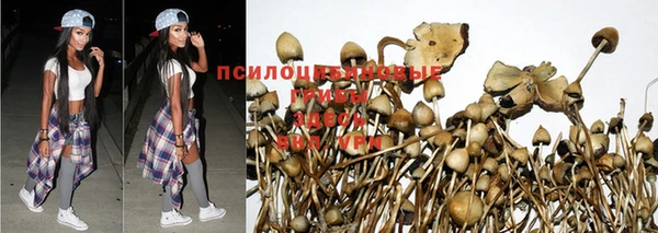 герыч Алексеевка