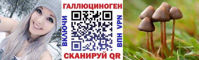 цена   Воткинск  Галлюциногенные грибы GOLDEN TEACHER 